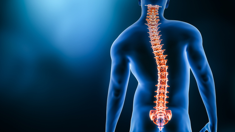 Scoliosis and Disability: Everything You Need to Know